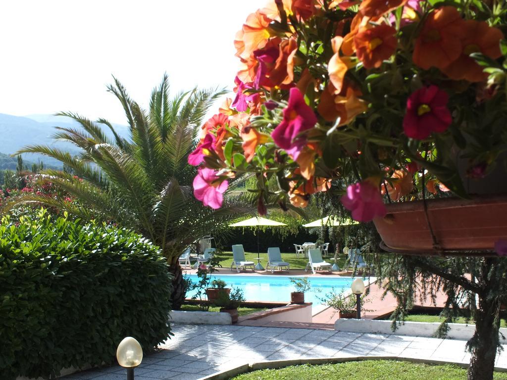 אסיסי Villa Serena מראה חיצוני תמונה